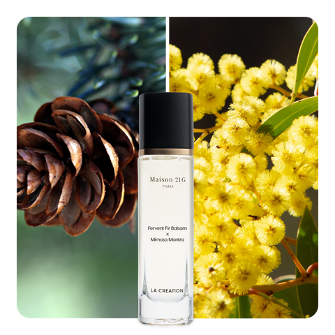 Nước hoa Fervent Fir Balsam x Mimosa Mantra