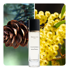 Nước hoa Fervent Fir Balsam x Mimosa Mantra