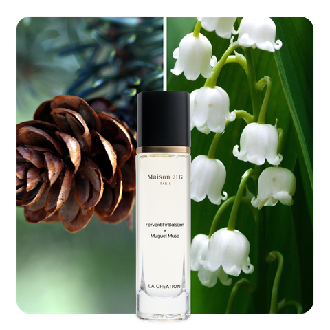 Nước hoa Fervent Fir Balsam x Muguet Muse