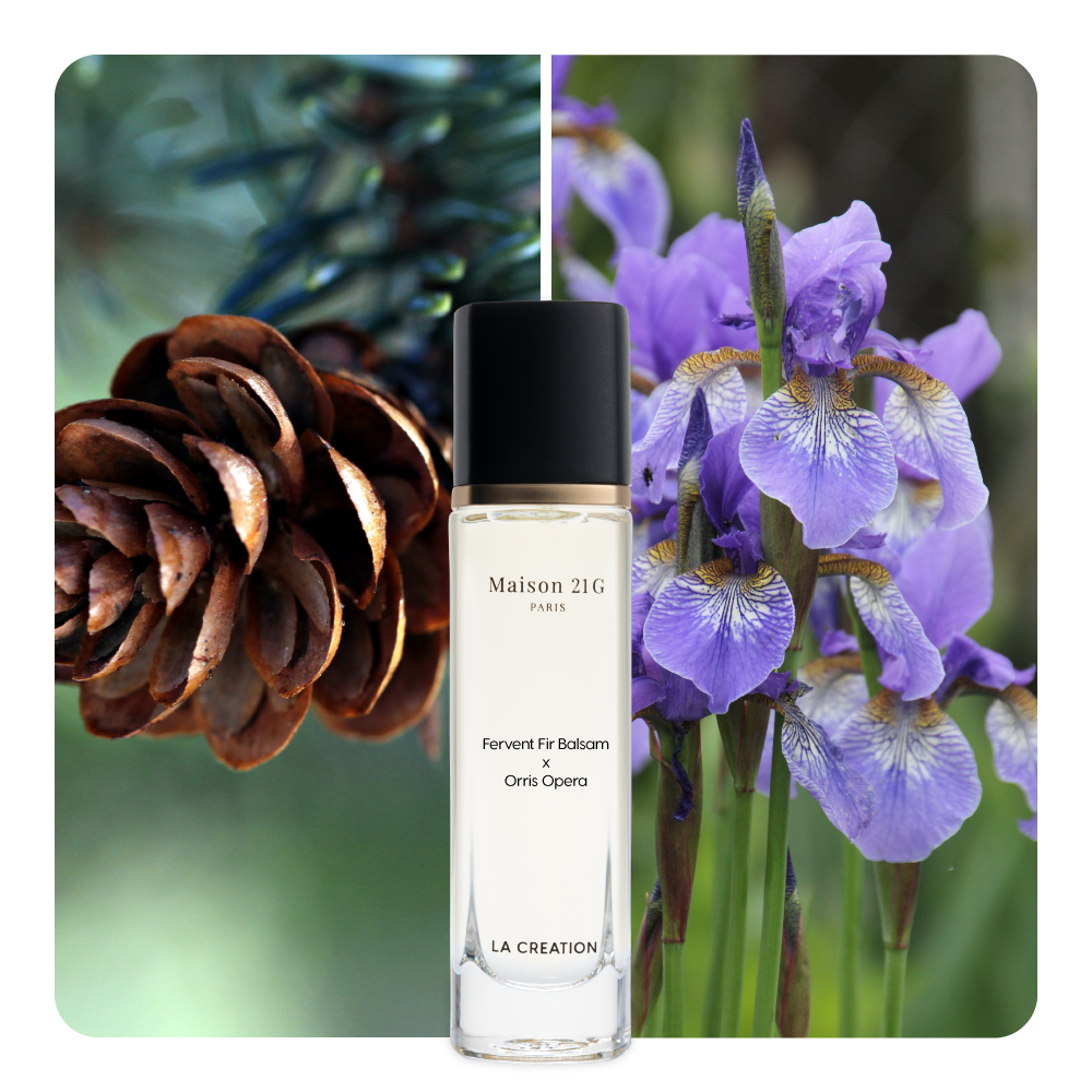 Nước hoa Fervent Fir Balsam x Orris Opera