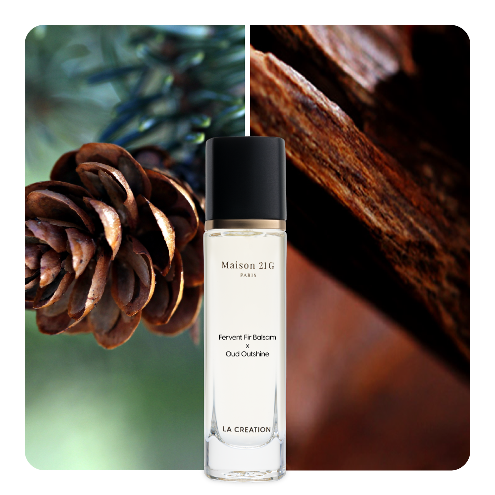 Nước hoa Fervent Fir Balsam x Oud Outshine