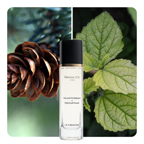 Nước hoa Fervent Fir Balsam x Patchouli Power