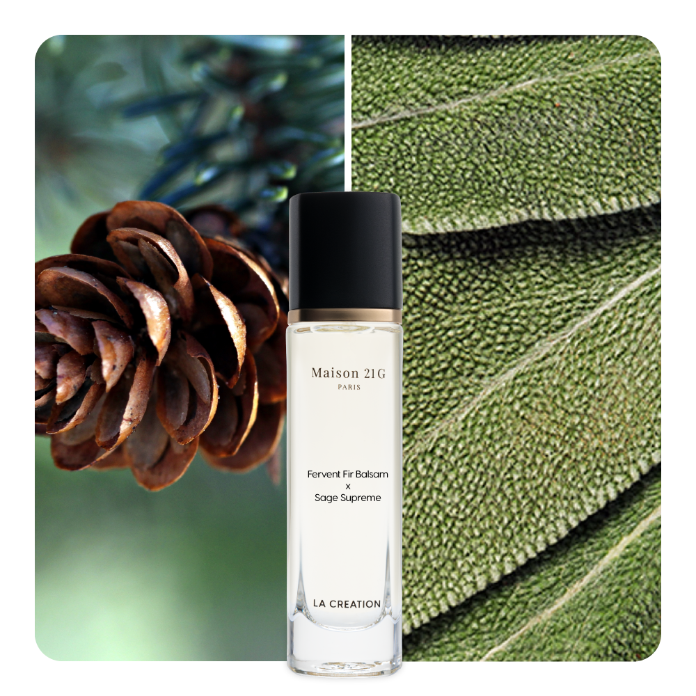 Nước hoa Fervent Fir Balsam x Sage Supreme