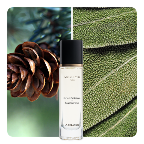 Nước hoa Fervent Fir Balsam x Sage Supreme