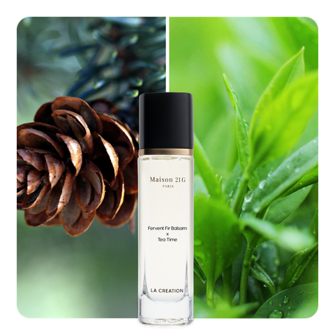 Nước hoa Fervent Fir Balsam x Tea Time