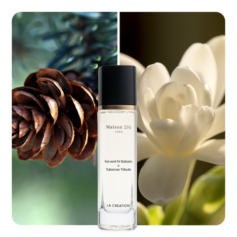 Nước hoa Fervent Fir Balsam x Tuberose Tribute