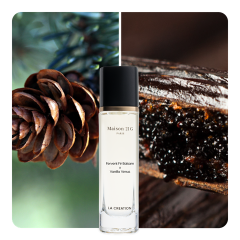Nước hoa Fervent Fir Balsam x Vanilla Venus