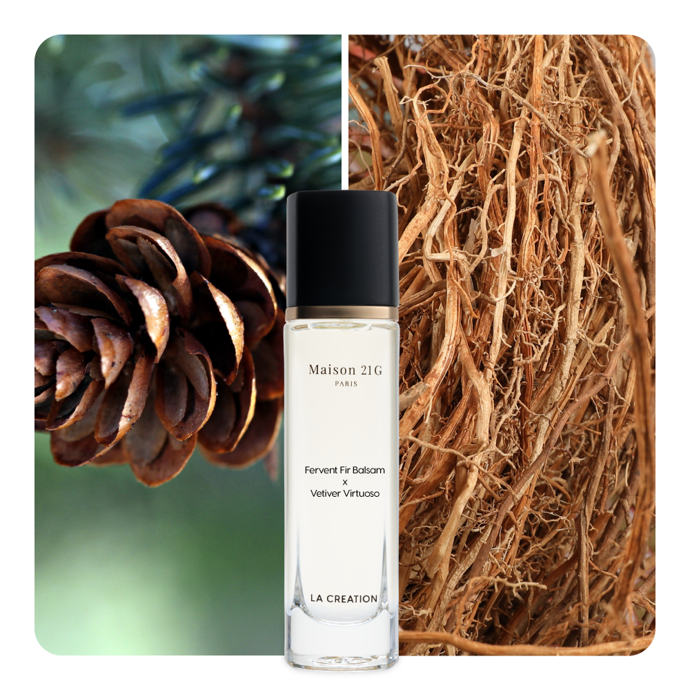Nước hoa Fervent Fir Balsam x Vetiver Virtuoso