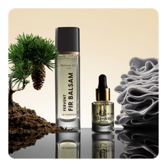 Nước hoa Fervent Fir Balsam & Cashmere Wood | Best Creation