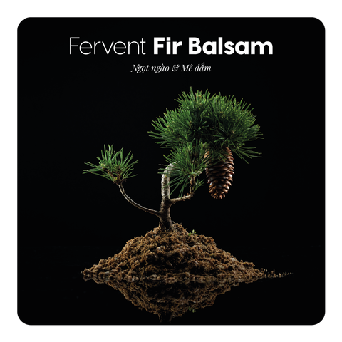 Nước hoa Fervent Fir Balsam