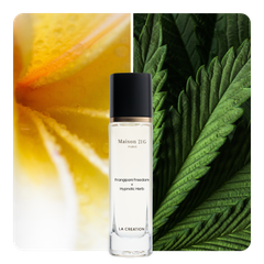 Nước hoa Frangipani Freedom x Hypnotic Herb