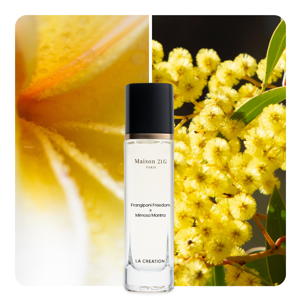Nước hoa Frangipani Freedom x Mimosa Mantra