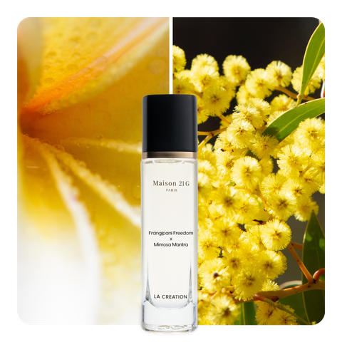 Nước hoa Frangipani Freedom x Mimosa Mantra
