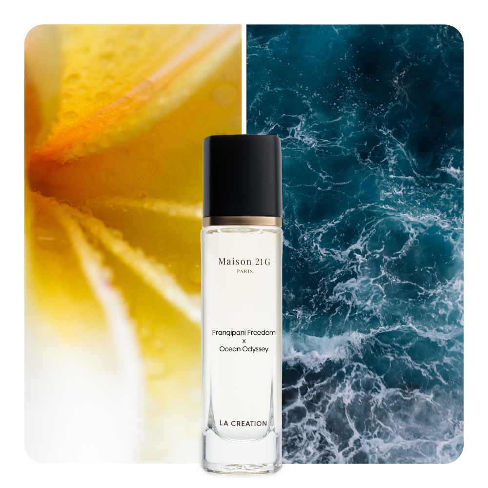 Nước hoa Frangipani Freedom x Ocean Odyssey