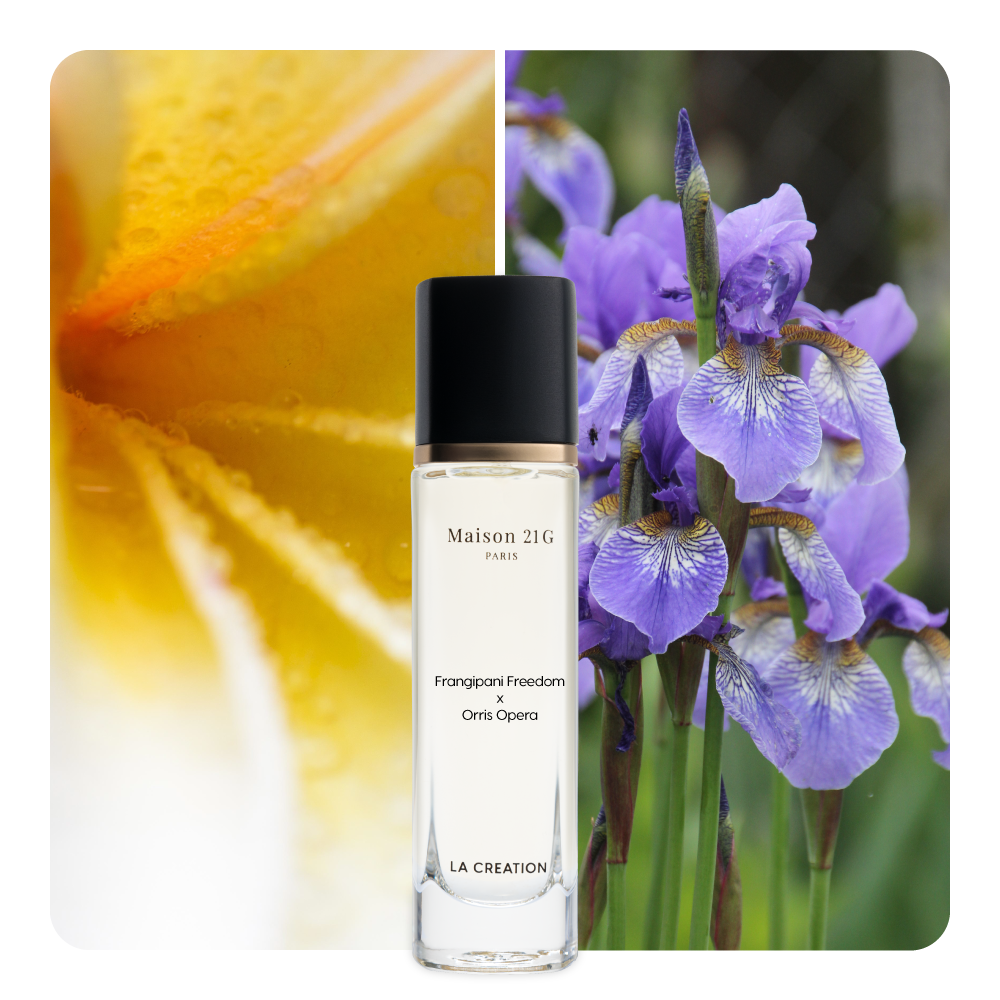 Nước hoa Frangipani Freedom x Orris Opera