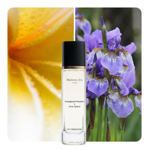 Nước hoa Frangipani Freedom x Orris Opera