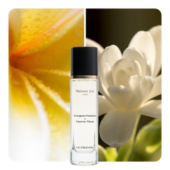 Nước hoa Frangipani Freedom x Tuberose Tribute
