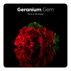 Nước hoa Geranium Gem