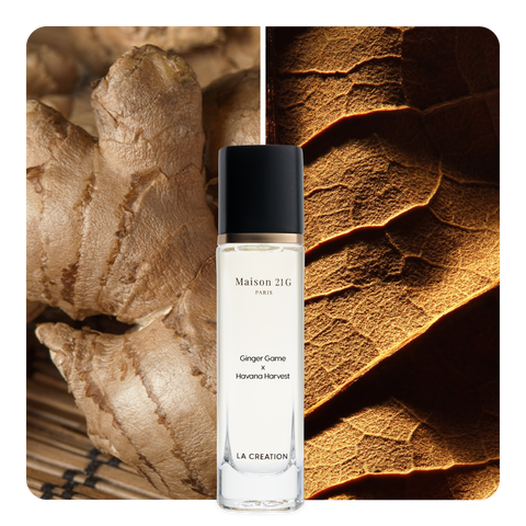 Nước hoa Ginger Game x Havana Harvest