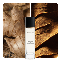 Nước hoa Ginger Game x Havana Harvest