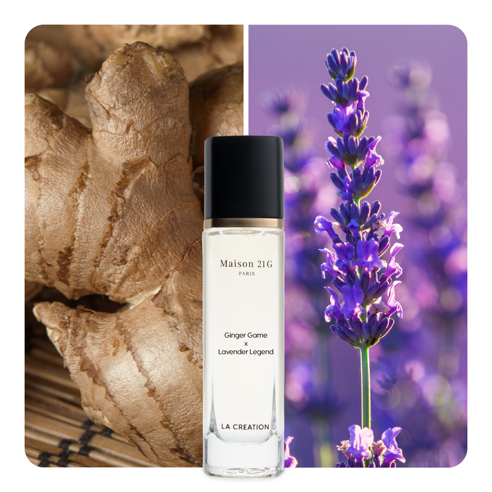 Nước hoa Ginger Game x Lavender Legend