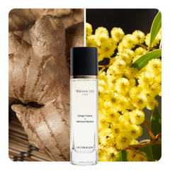 Nước hoa Ginger Game x Mimosa Mantra