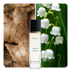 Nước hoa Ginger Game x Muguet Muse