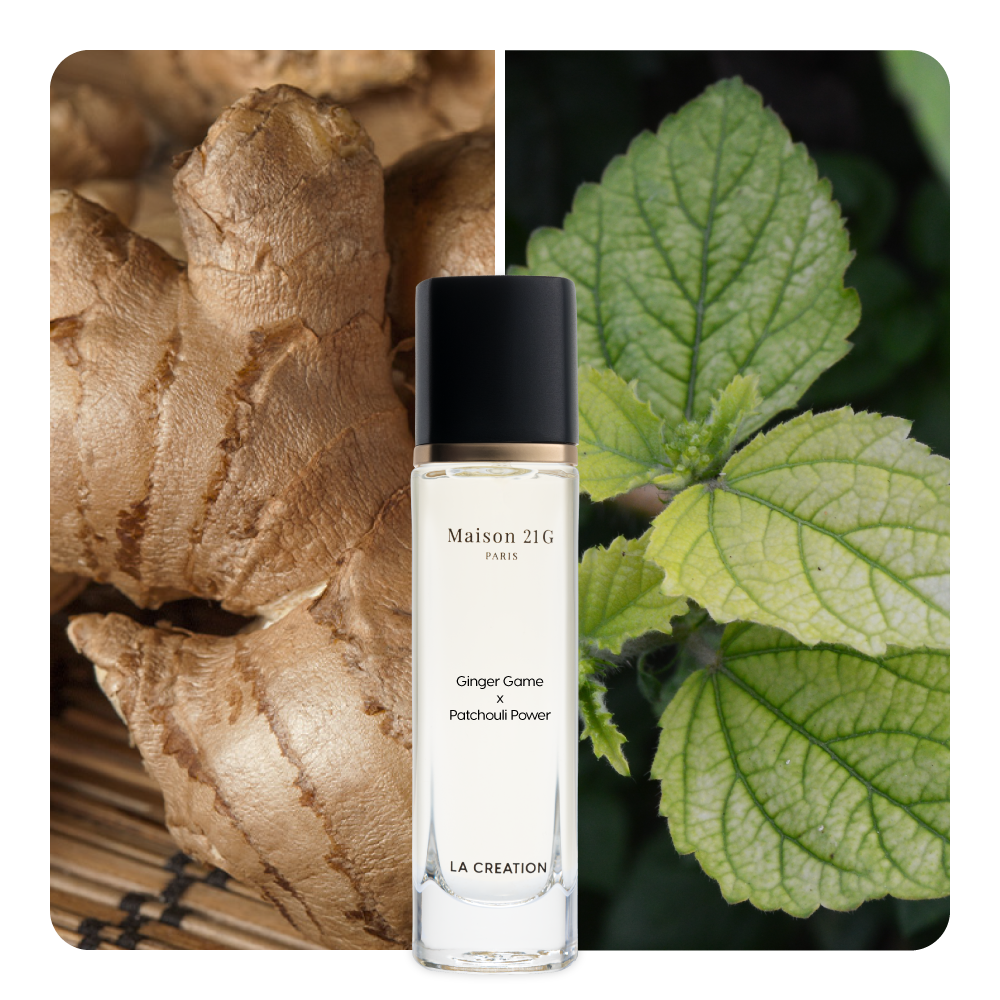 Nước hoa Ginger Game x Patchouli Power
