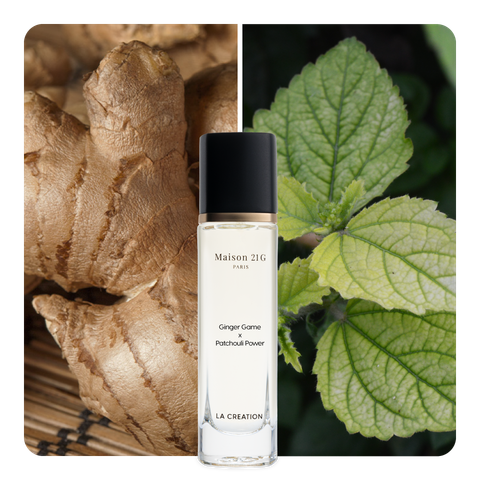 Nước hoa Ginger Game x Patchouli Power