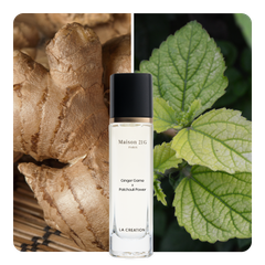 Nước hoa Ginger Game x Patchouli Power