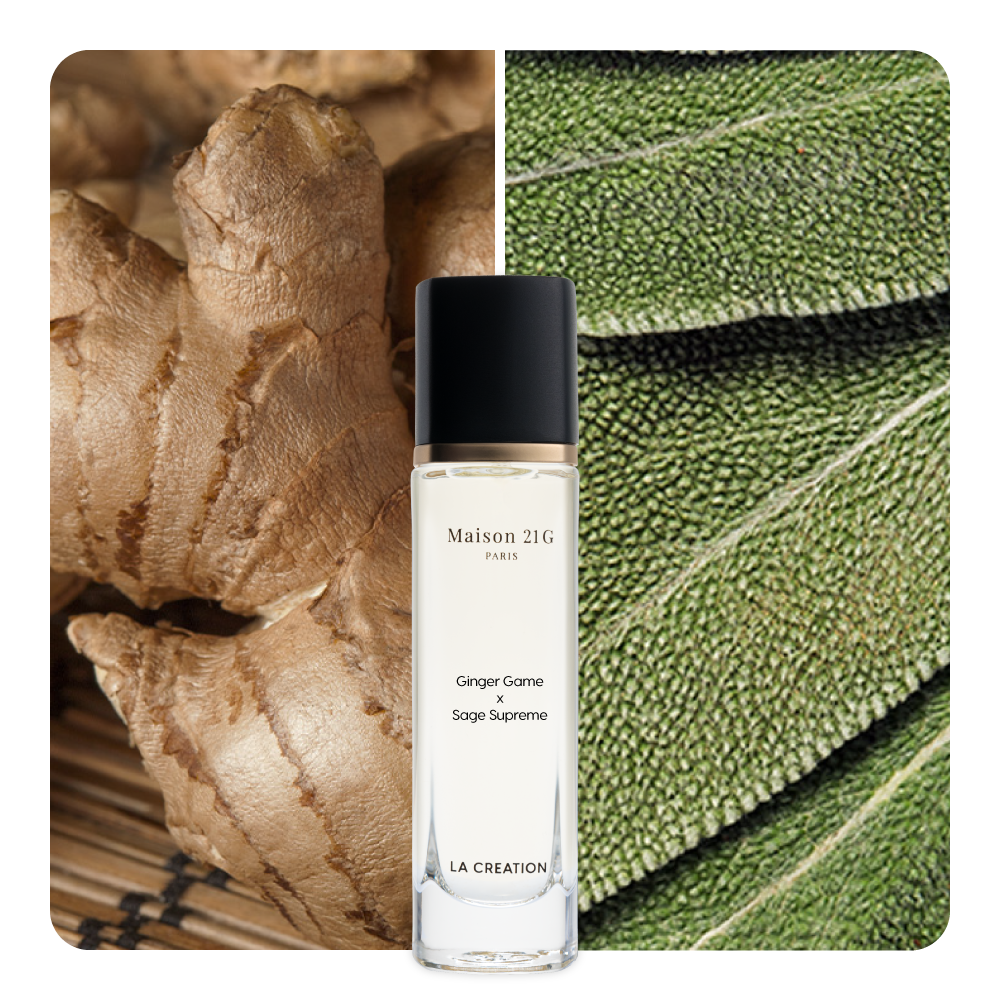 Nước hoa Ginger Game x Sage Supreme