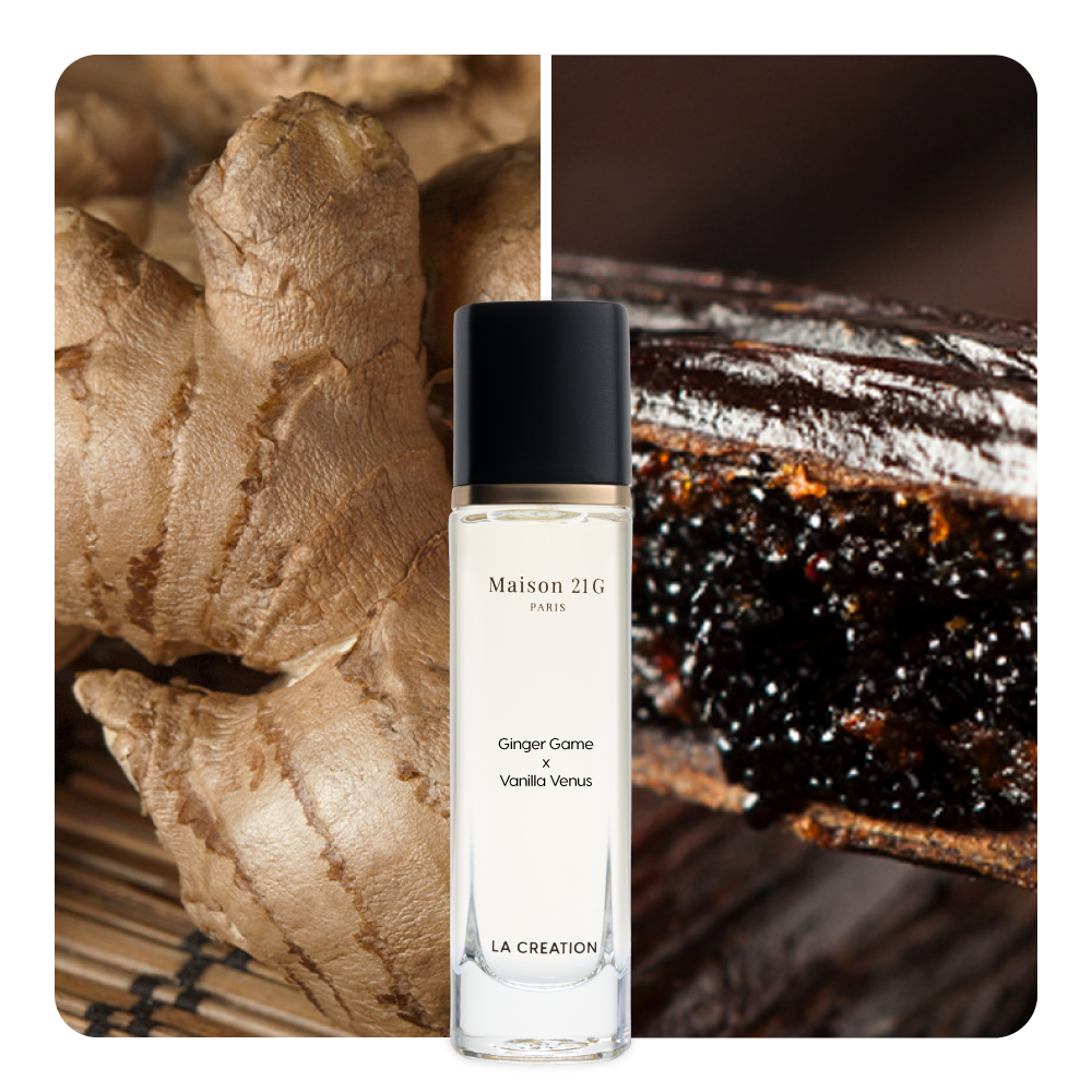 Nước hoa Ginger Game x Vanilla Venus