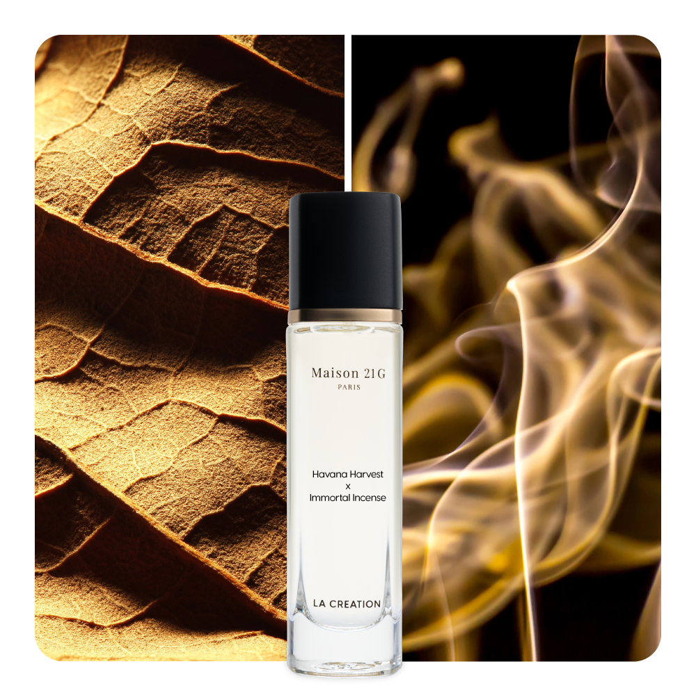 Nước hoa Havana Harvest x Immortal Incense