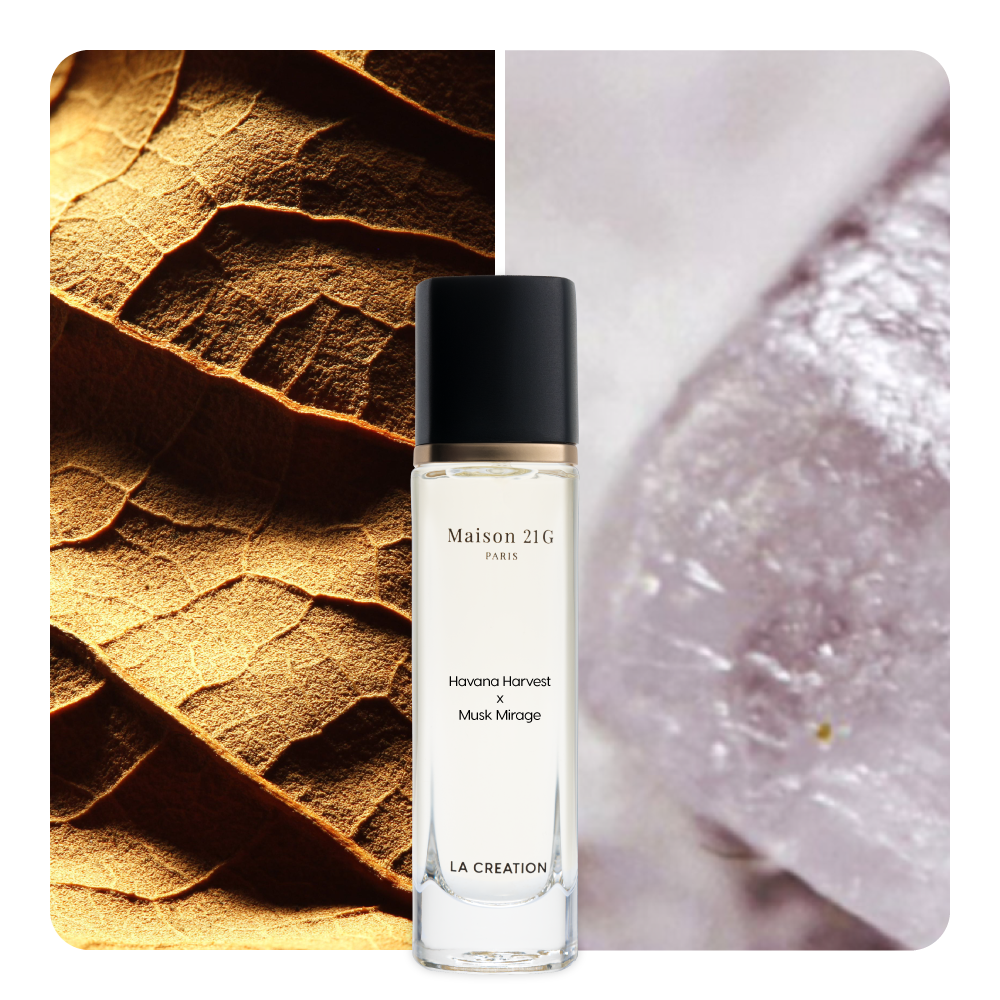 Nước hoa Havana Harvest x Musk Mirage