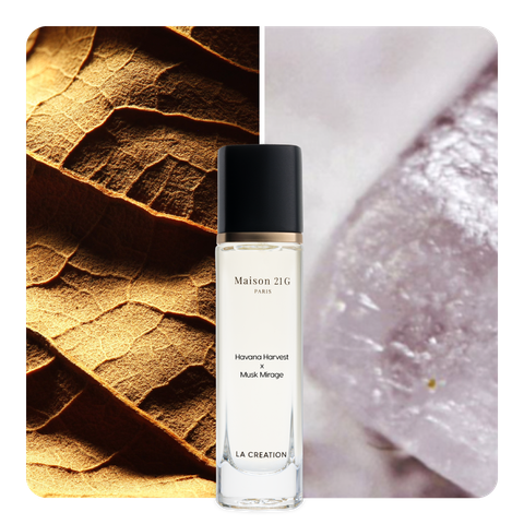 Nước hoa Havana Harvest x Musk Mirage