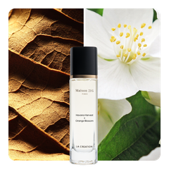 Nước hoa Havana Harvest x Orange Blossom