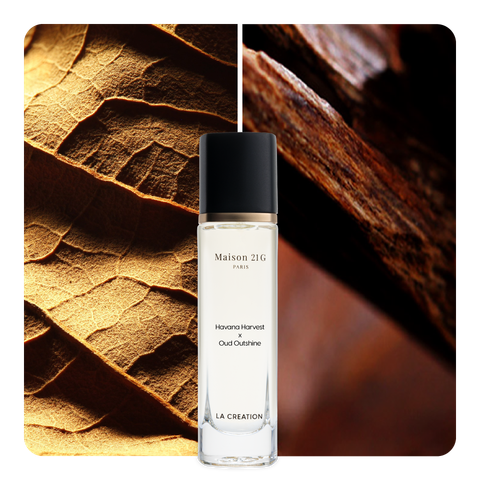 Nước hoa Havana Harvest x Oud Outshine