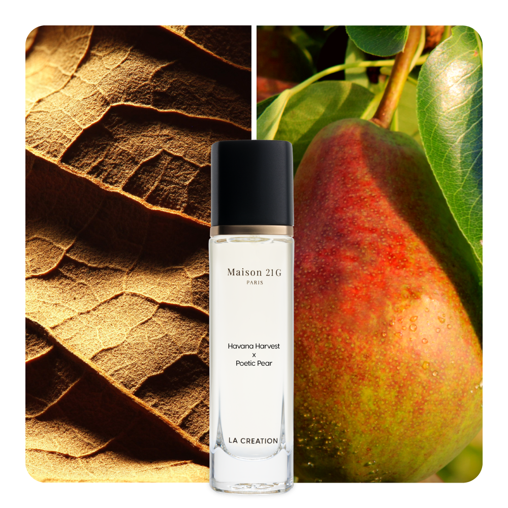 Nước hoa Havana Harvest x Poetic Pear