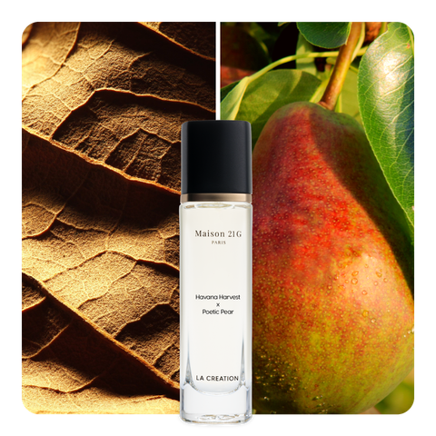 Nước hoa Havana Harvest x Poetic Pear