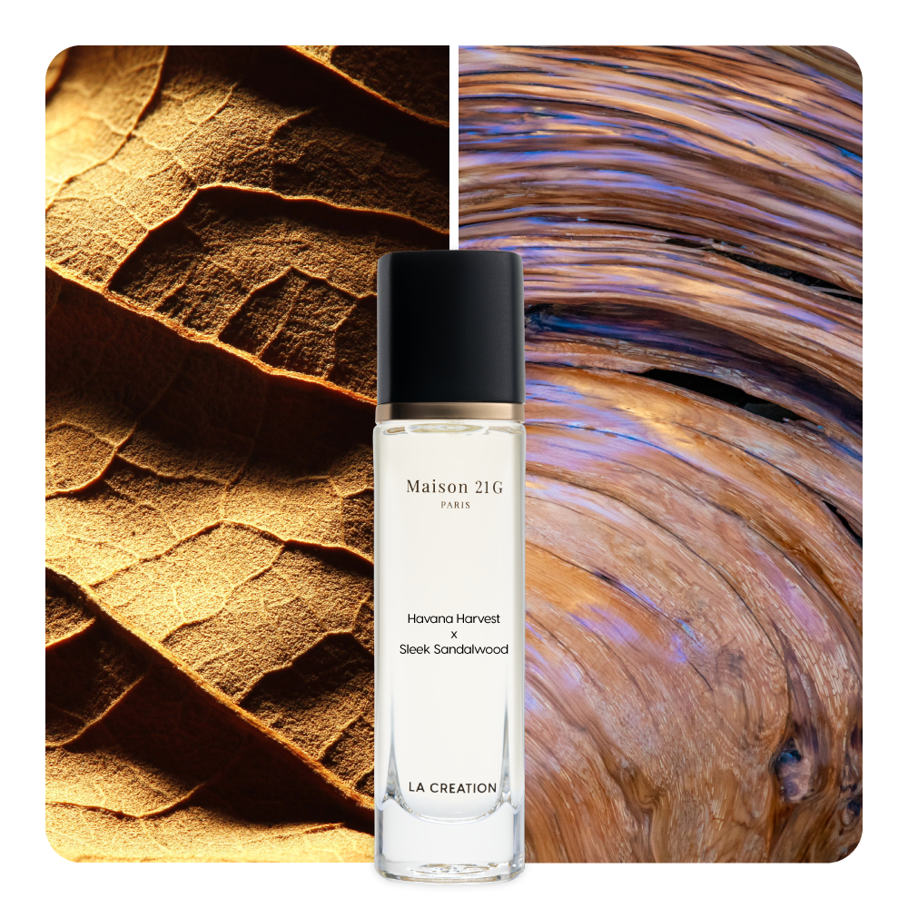 Nước hoa Havana Harvest x Sleek Sandalwood