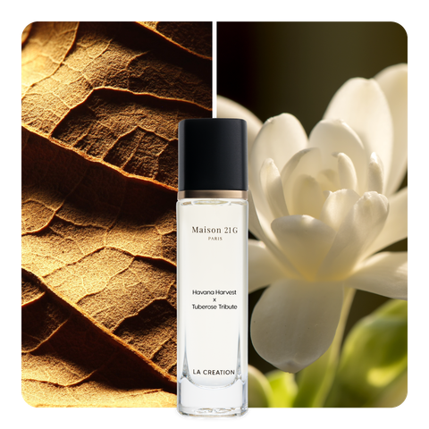 Nước hoa Havana Harvest x Tuberose Tribute
