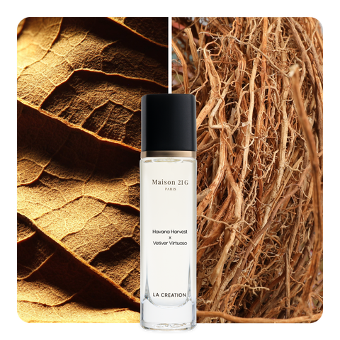 Nước hoa Havana Harvest x Vetiver Virtuoso