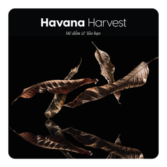 Nước hoa Havana Harvest