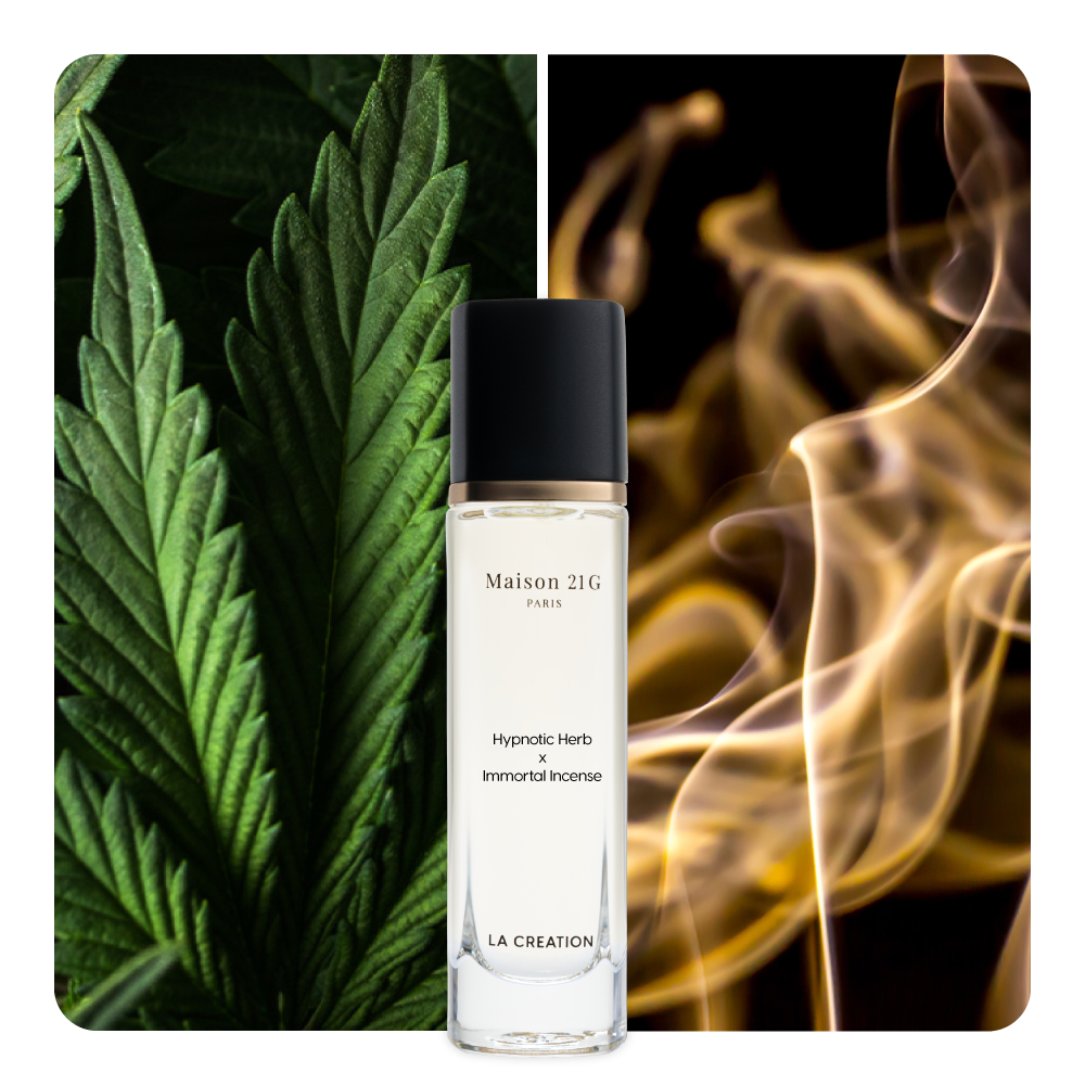 Nước hoa thiết kế Hypnotic Herb & Immortal Incense