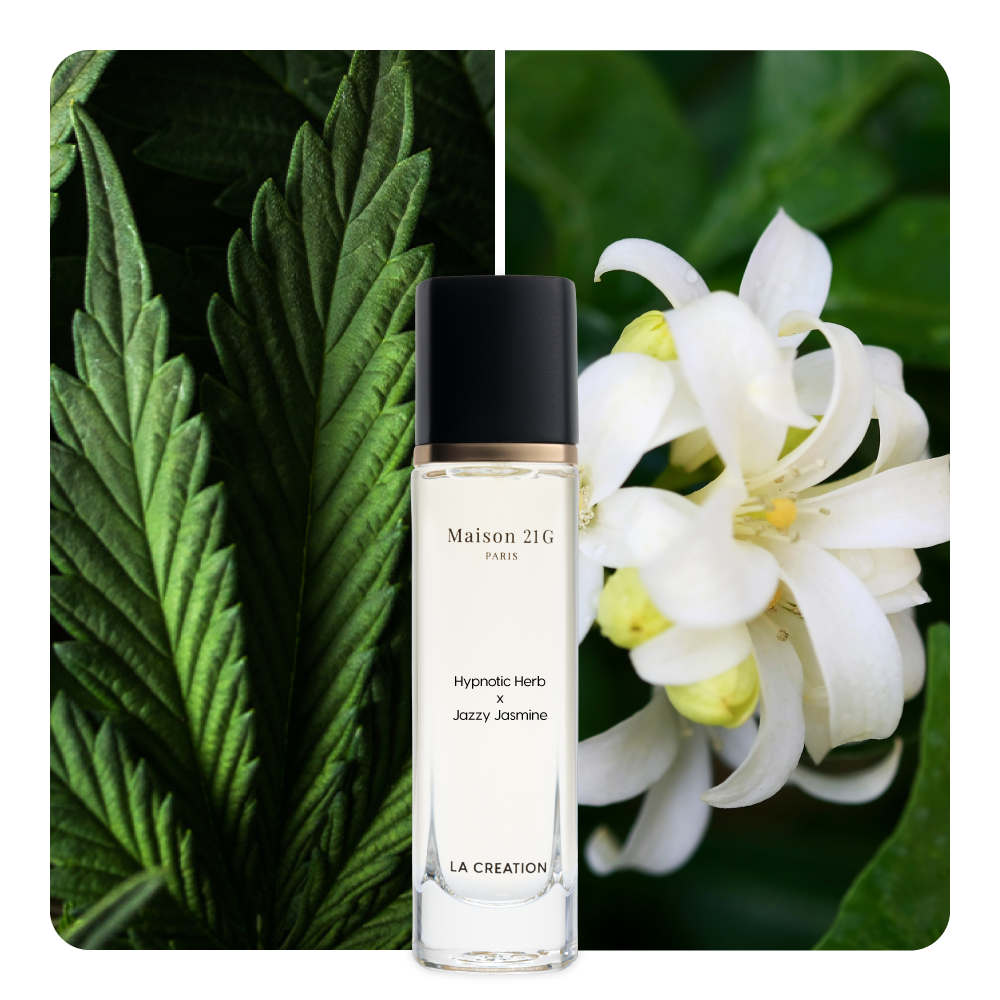 Nước hoa Hypnotic Herb x Jazzy Jasmine
