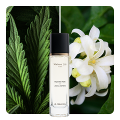 Nước hoa Hypnotic Herb x Jazzy Jasmine