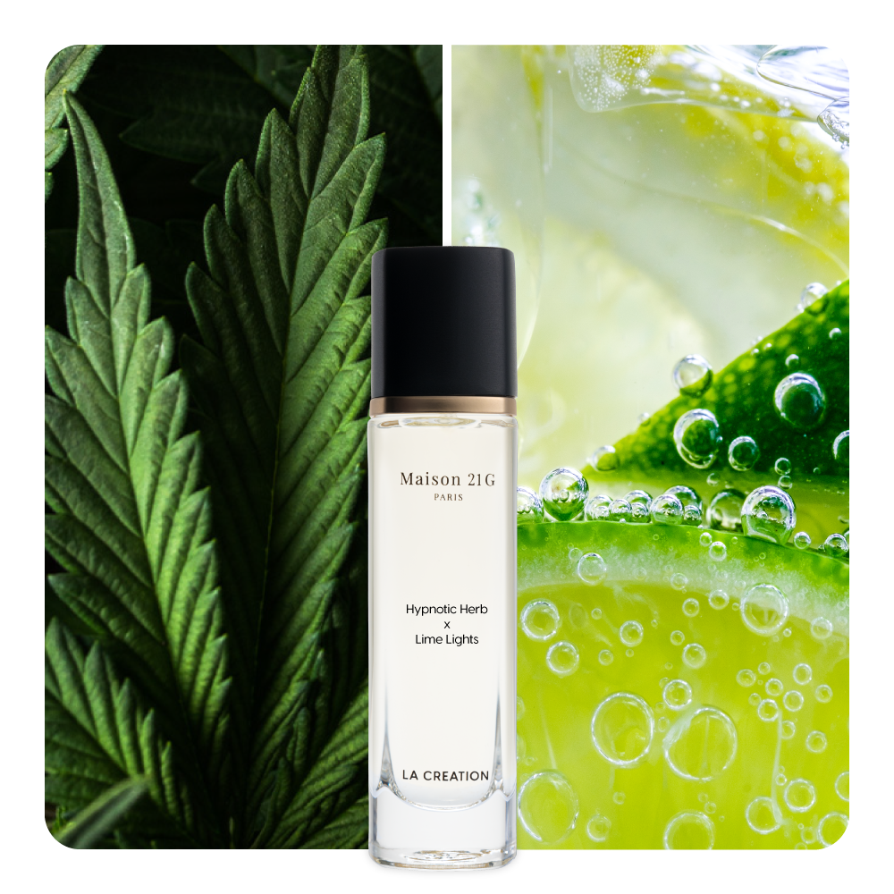 Nước hoa Hypnotic Herb x Lime Lights