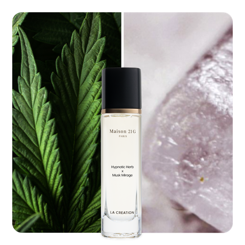 Nước hoa Hypnotic Herb x Musk Mirage