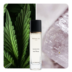 Nước hoa Hypnotic Herb x Musk Mirage