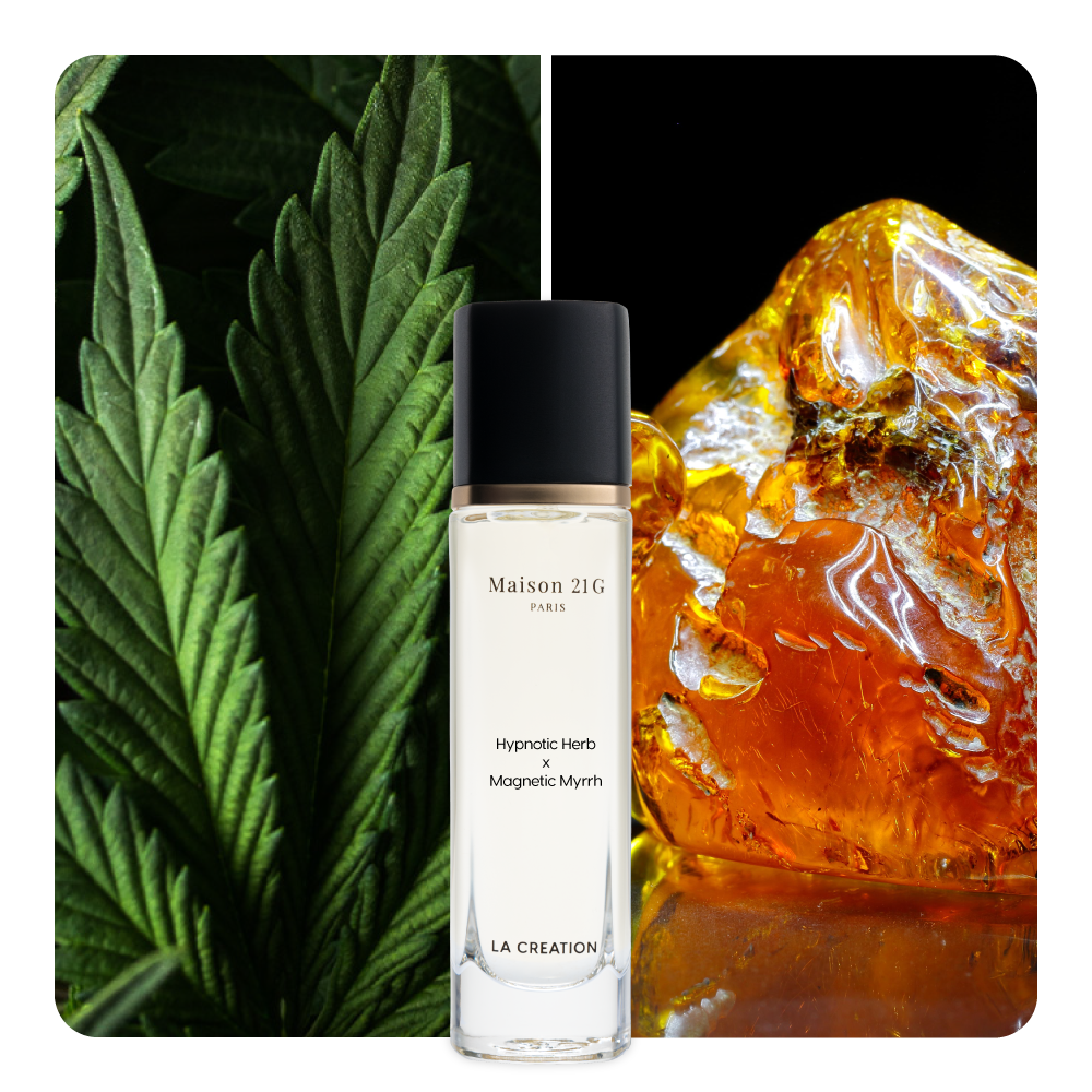Nước hoa Hypnotic Herb x Magnetic Myrrh
